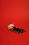 silver rose clip Vintage A4 Photo Print