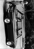 singer 1964 chamois tyl crop A4 Photo Print