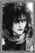 siouxsie and the banshees 10 Punk Flyer A4 Photo Print