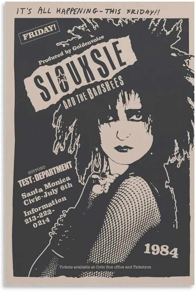 siouxsie and the banshees 11 Punk Flyer A4 Photo Print