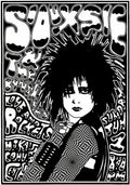 siouxsie and the banshees 13 Punk Flyer A4 Photo Print