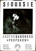 siouxsie and the banshees 5 Punk Flyer A4 Photo Print