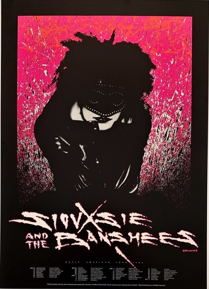 siouxsie and the banshees 8 Punk Flyer A4 Photo Print