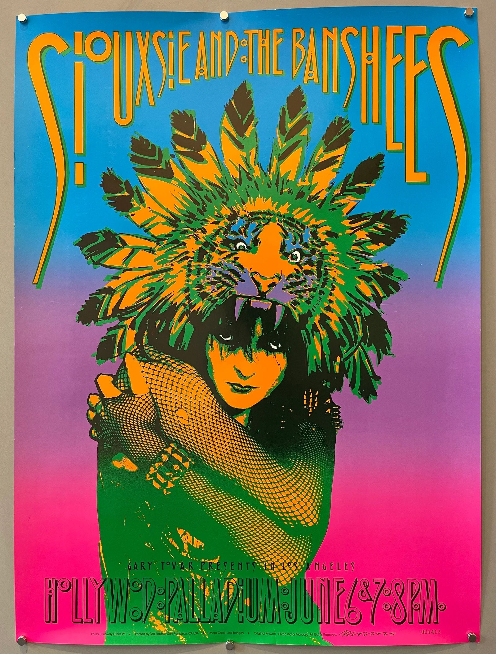 siouxsie and the banshees poster Punk Flyer A4 Photo Print