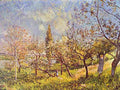 sis Orchard in Spring Art A4 Photo Print