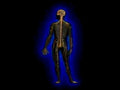skeletal nervous anatomy1980s 1990s A4 Photo Print