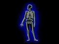 skeleton blue glow1980s 1990s A4 Photo Print