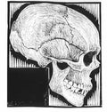 skull mc escher 1919 A4 Photo Print