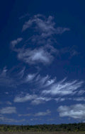 sky clouds forest 1980s 1990s A4 Photo Print