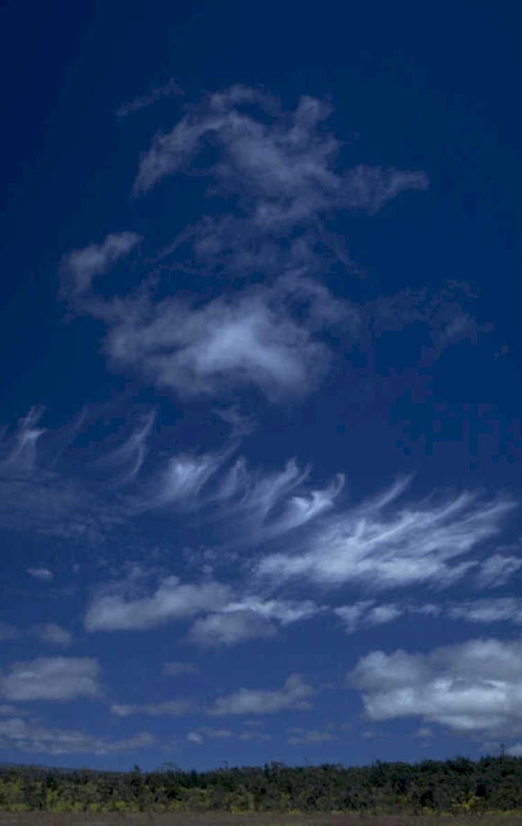 sky clouds forest 1980s 1990s A4 Photo Print