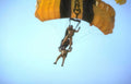 skydiving parachute army Vintage A4 Photo Print