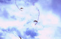 skydiving parachutists clouds Vintage A4 Photo Print