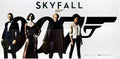 skyfall indian 6 sh B Advert A4 Photo Print