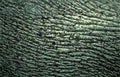 slate basalt texture