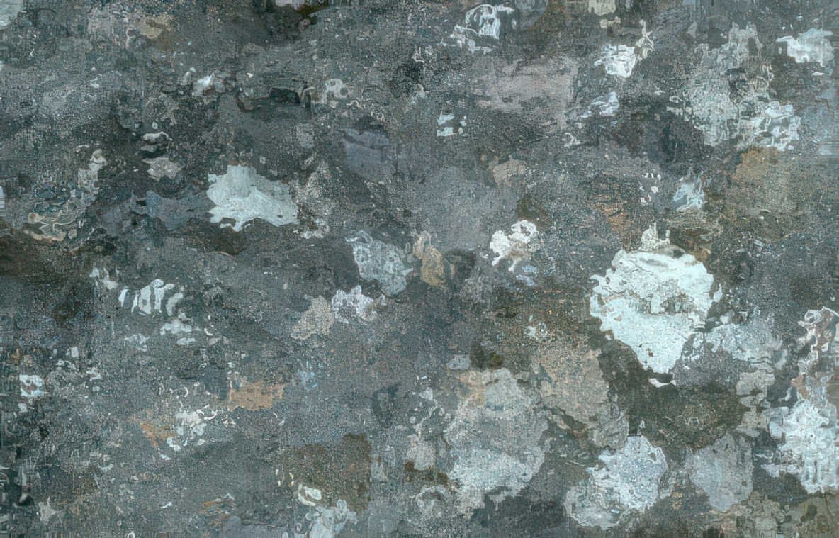 slate lichen detail Vintage A4 Photo Print