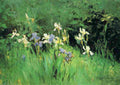 slav Irises Art A4 Photo Print