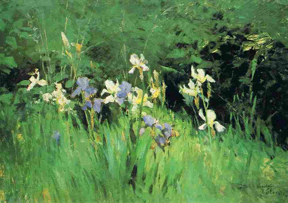 slav Irises Art A4 Photo Print
