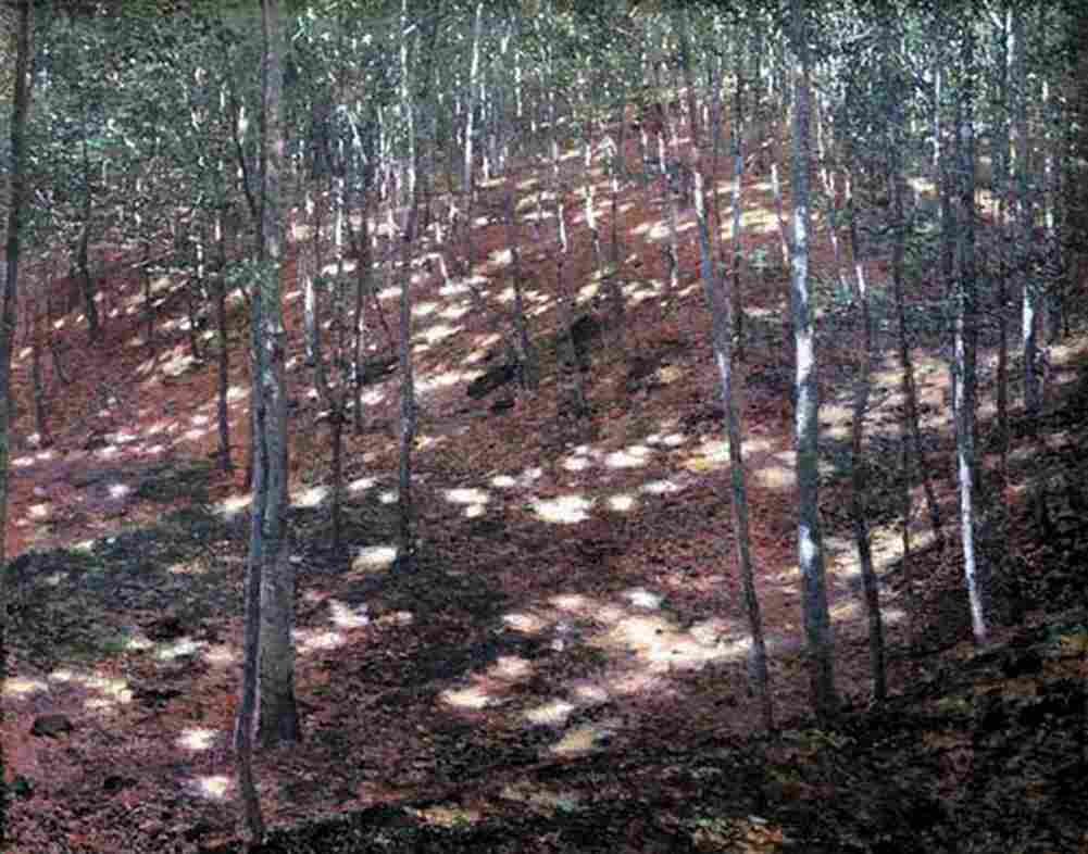 slav Sun in the Forest Art A4 Photo Print