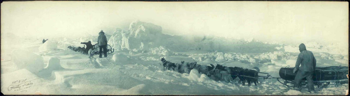 sled dogs arctic Vintage world war A4 Photo Print