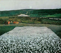 small harald sohlberg flower meadow in the north 1905 A4 Photo Print