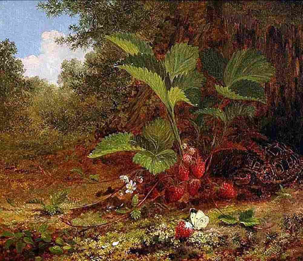smi Wild Strawberries Art A4 Photo Print