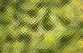 snake skin pattern