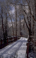 snow boardwalk trail 1980s 1990s A4 Photo Print