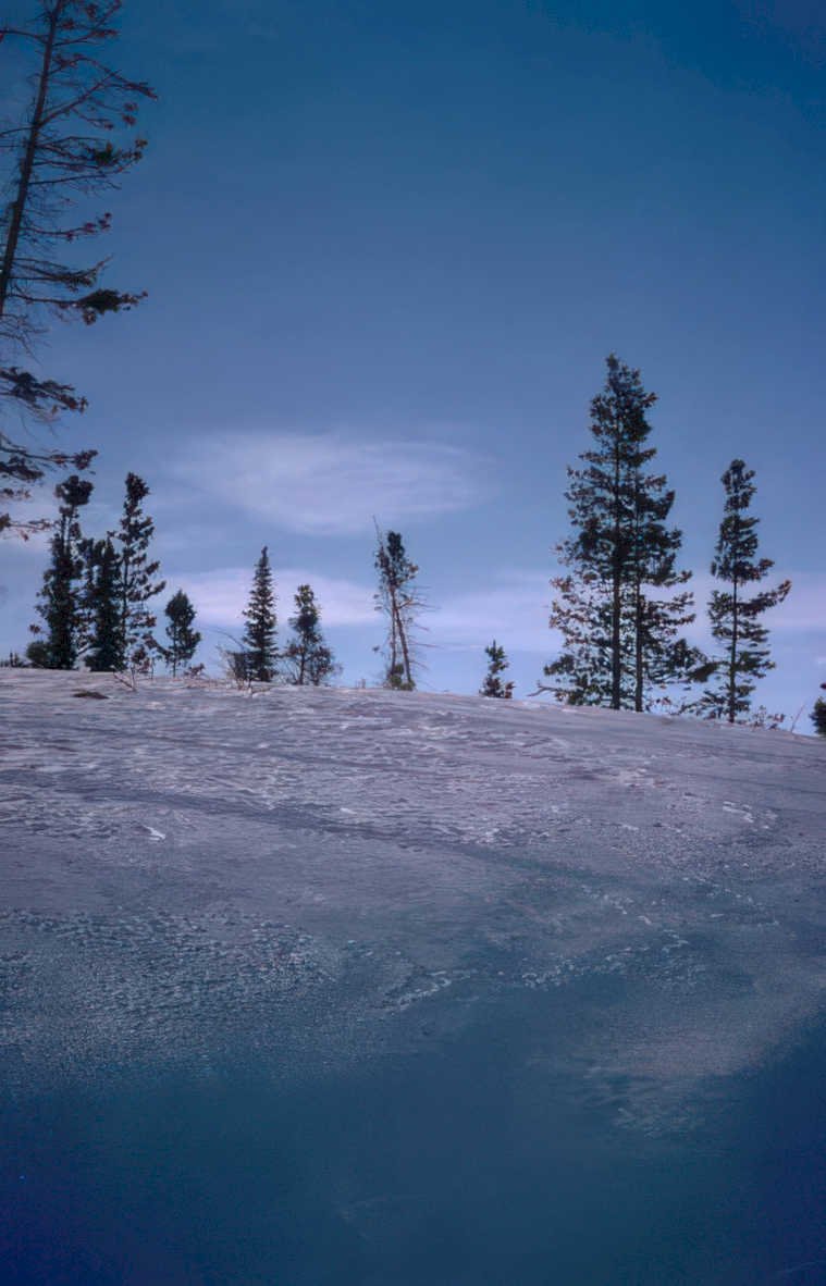 snow hillside trees Vintage A4 Photo Print