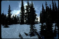 snow mount rainier1980s 1990s A4 Photo Print
