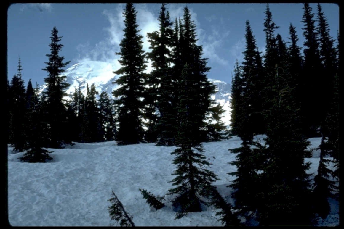 snow mount rainier1980s 1990s A4 Photo Print