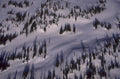 snow mountain forest 1980s 1990s A4 Photo Print