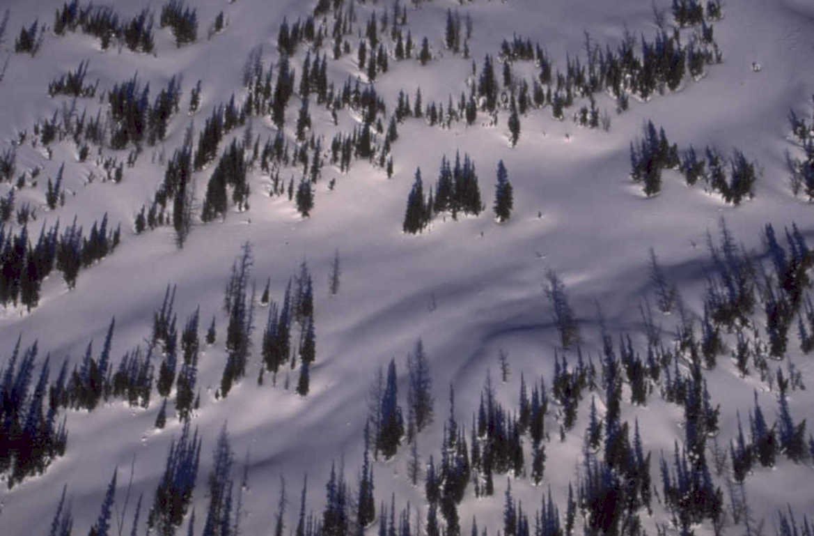 snow mountain forest 1980s 1990s A4 Photo Print