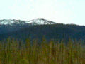 snow mountains forest1980s 1990s A4 Photo Print