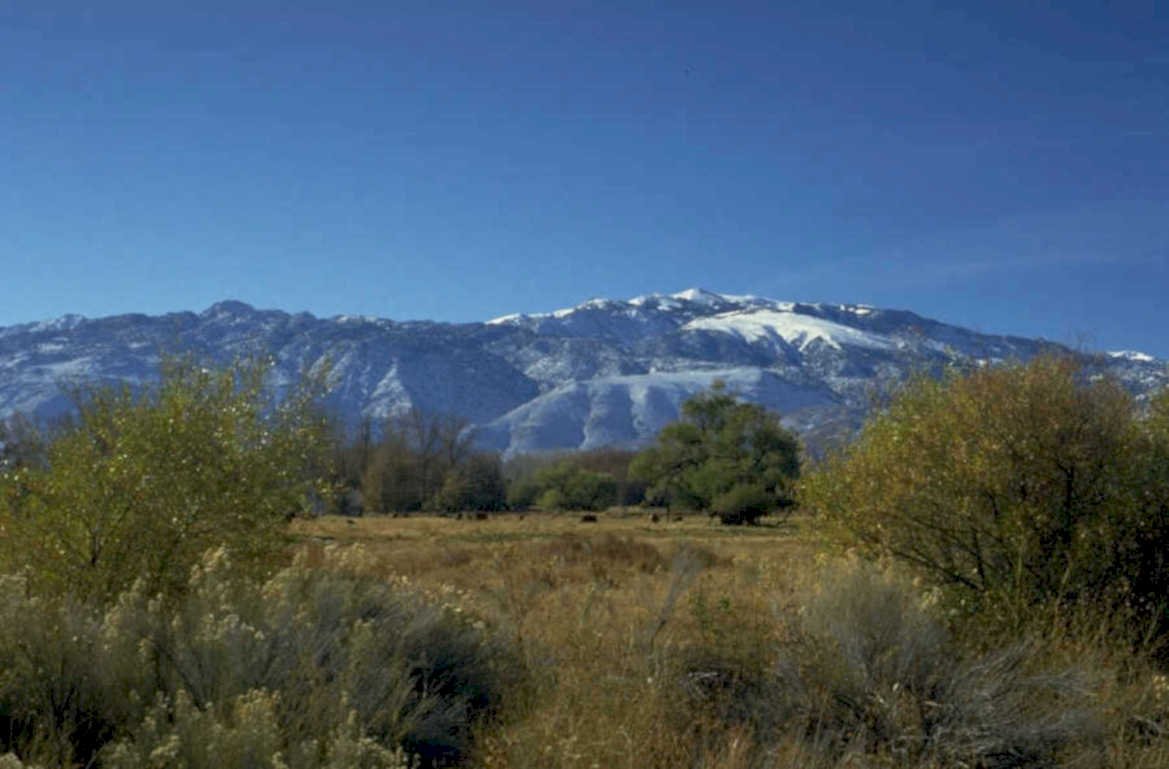 snow mountains meadow 1980s 1990s A4 Photo Print 42