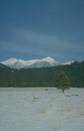 snow mountains pine Vintage A4 Photo Print