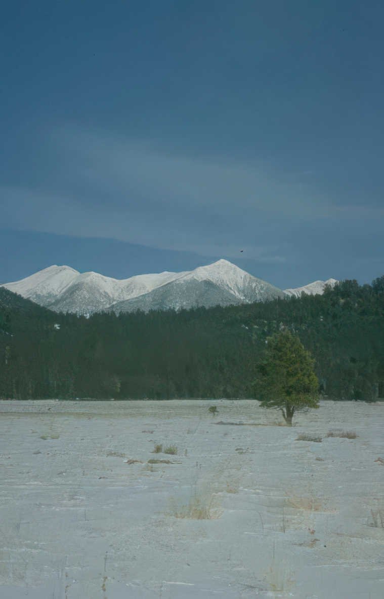snow mountains pine Vintage A4 Photo Print