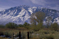 snow mountains sagebrush 1980s 1990s A4 Photo Print