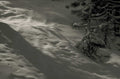 snow pine footprints 1980s 1990s A4 Photo Print