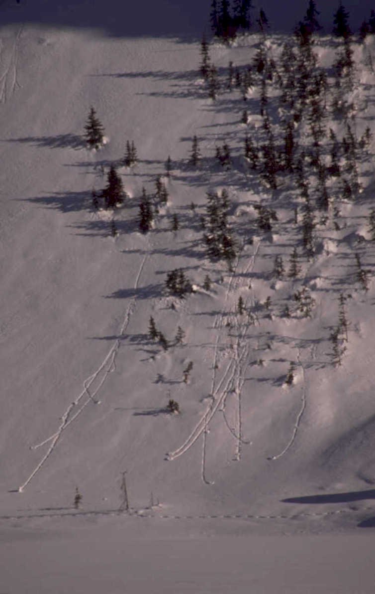 snowboarding mountain terrain 1980s 1990s A4 Photo Print