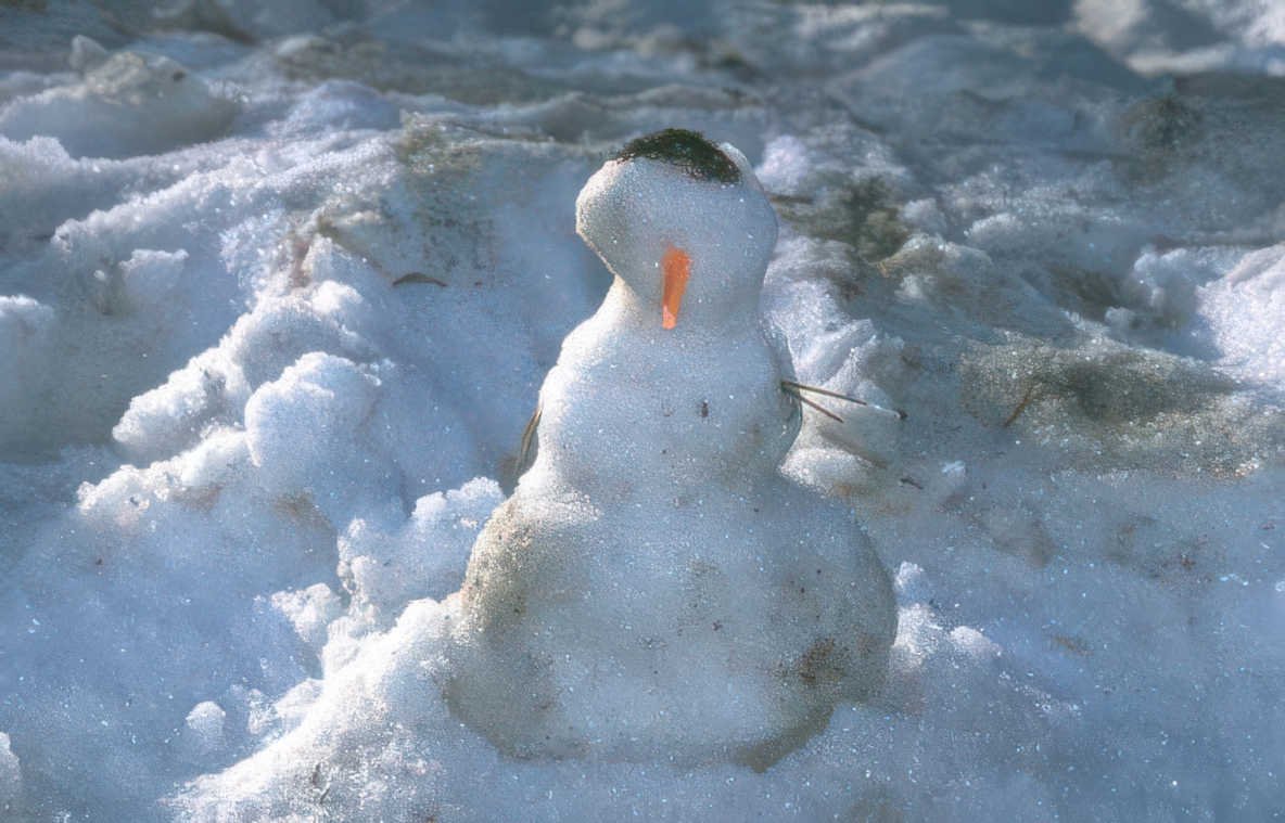 snowman winter scene Vintage A4 Photo Print
