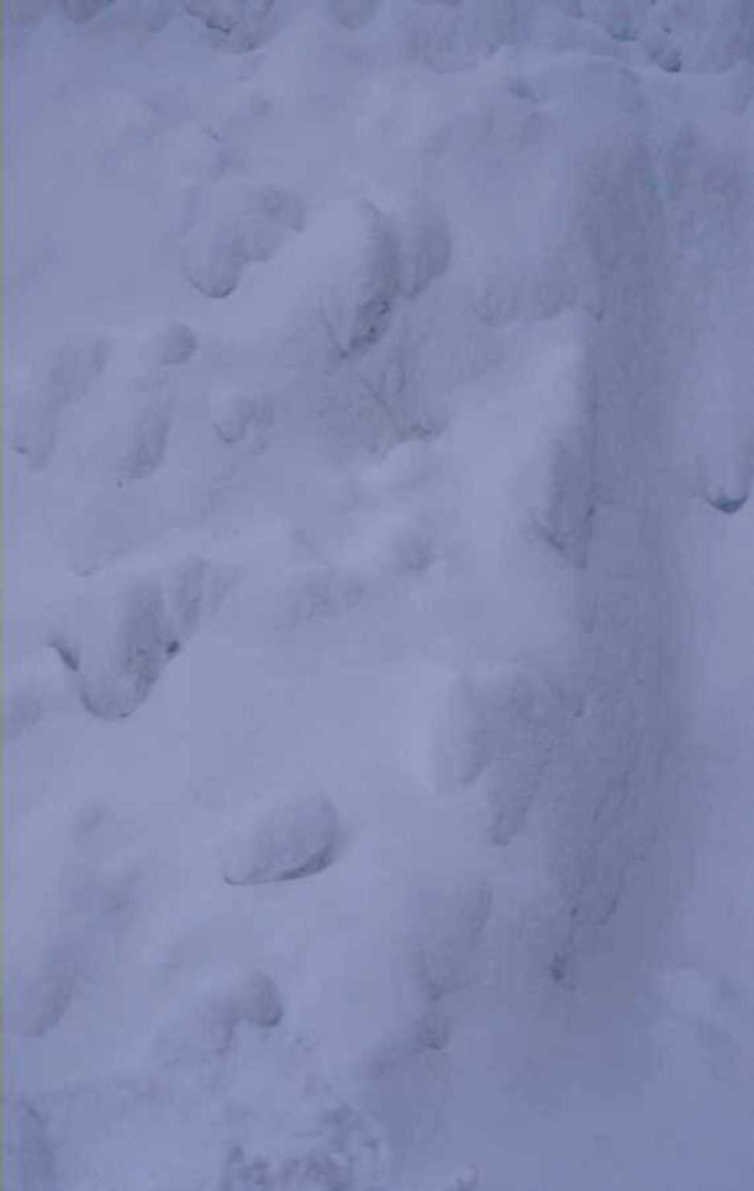 snowy footprints tracks 1980s 1990s A4 Photo Print