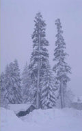 snowy forest cabin 1980s 1990s A4 Photo Print