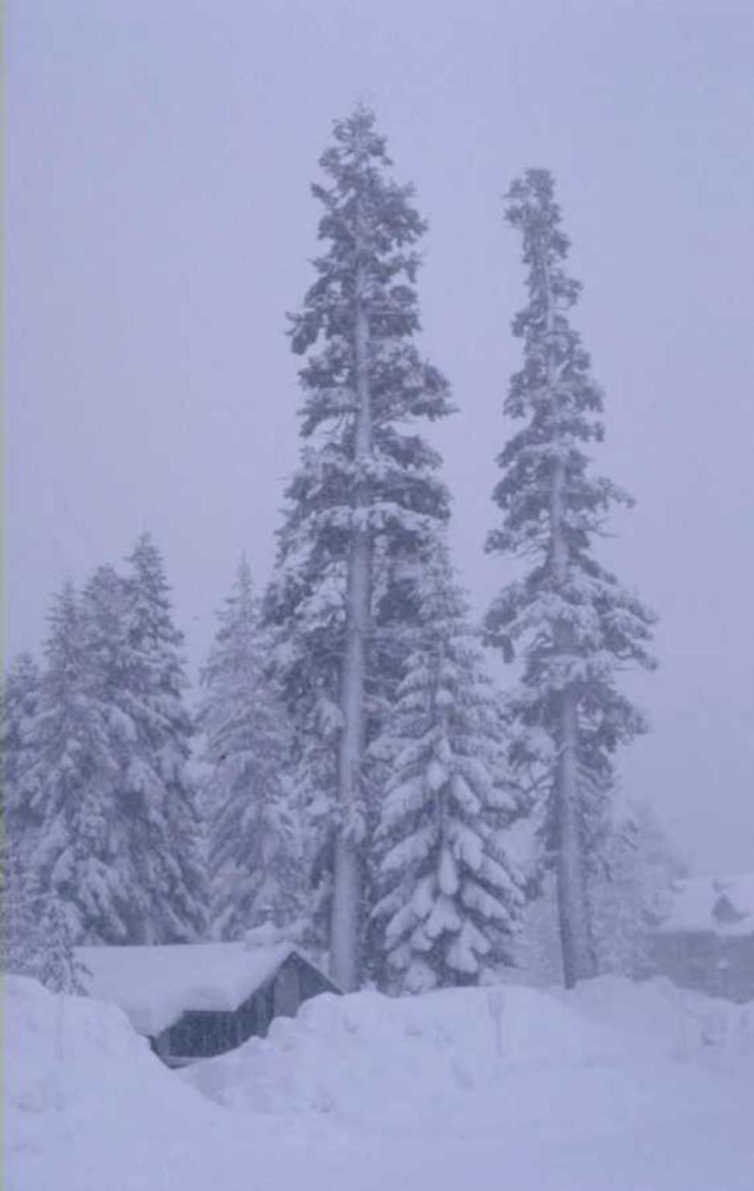 snowy forest cabin 1980s 1990s A4 Photo Print