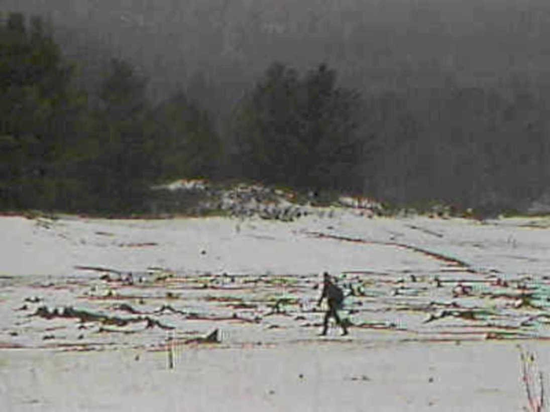 snowy landscape skiing1980s 1990s A4 Photo Print