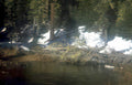 snowy pond beaver Vintage A4 Photo Print