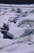 snowy river winter Vintage A4 Photo Print