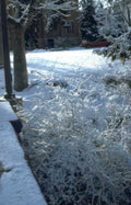 snowy street scene Vintage A4 Photo Print