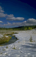 snowy wetland stream 1980s 1990s A4 Photo Print