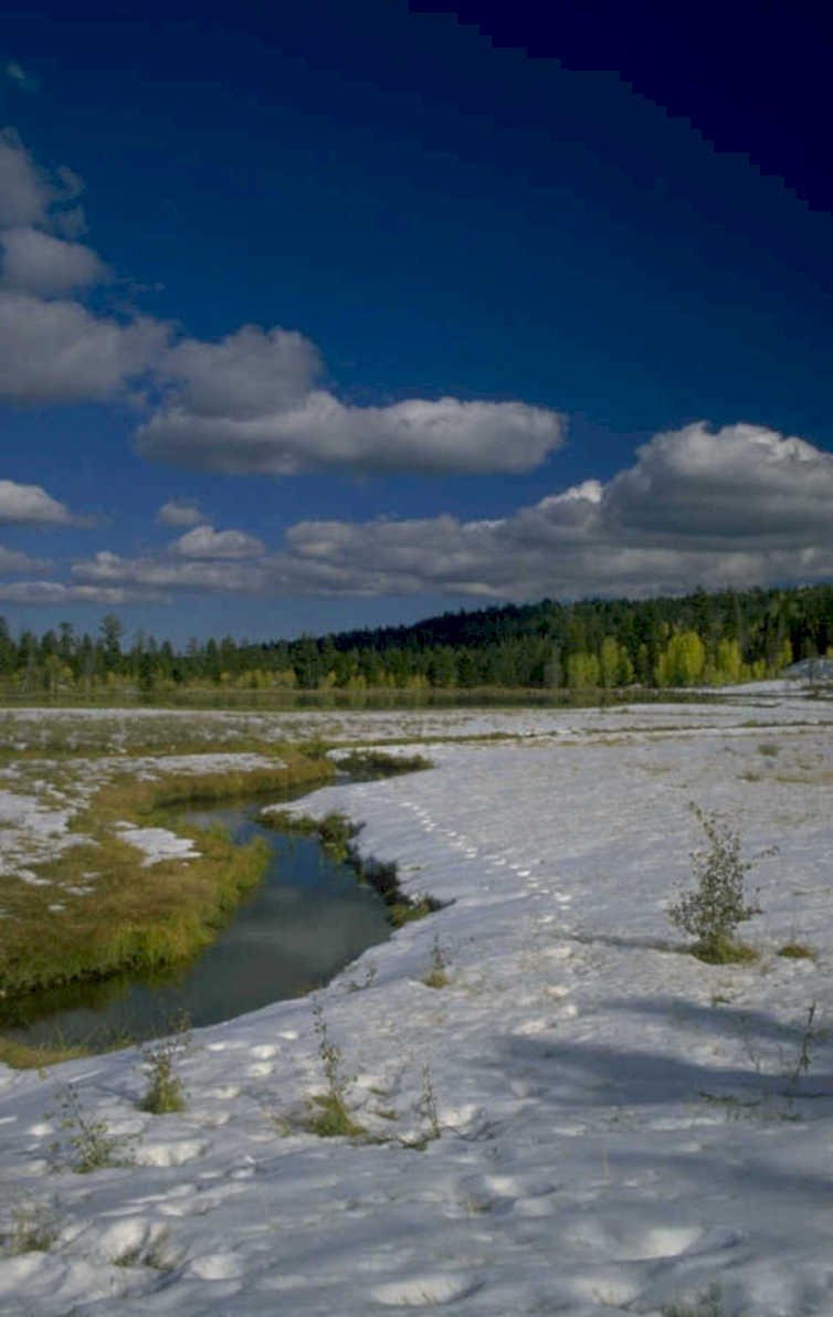 snowy wetland stream 1980s 1990s A4 Photo Print