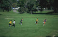 soccer game players 2 Vintage A4 Photo Print